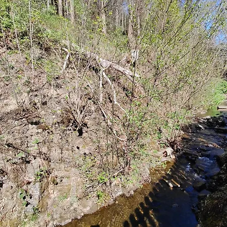 Holiday home Altenauer Kaffeehaus *