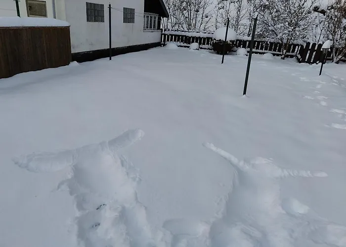 Altenauer Kaffeehaus Дом отдыха Альтенау